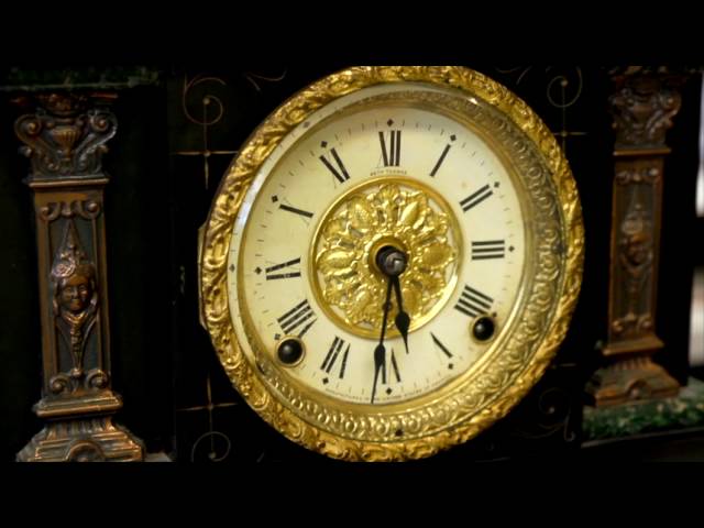 Are you looking for a watch dealer in Boston area?